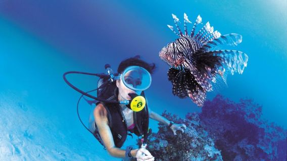 ทัวร์ดำน้ำลึกอันตัลยาพร้อมอาหารกลางวันแบบบาร์บีคิวและรถรับส่ง