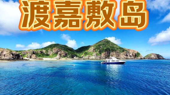 沖縄渡嘉敷島日帰りツアースローボートツアー(シュノーケリング付き)ウミガメ探し(中国語インストラクターによる解説付き)