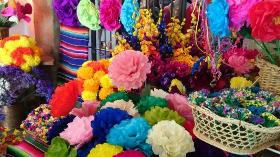 เม็กซิโกซิตี้: อารามเดลคาร์เมน, ซานแองเจล และตลาดวันเสาร์