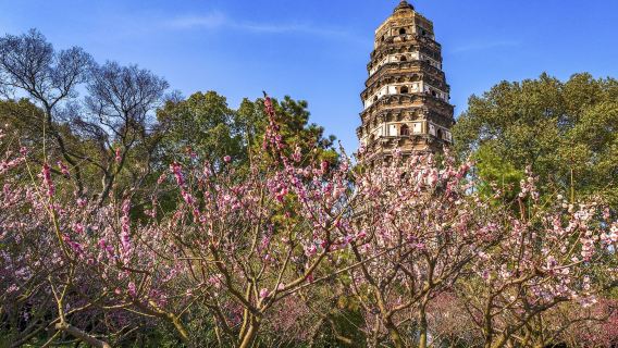 Suzhou + Bukit Harimau + Tokong Hanshan / pemandu pelancong/ Cina / Inggeris / Rusia / Jadual perjalanan boleh disesuaikan F