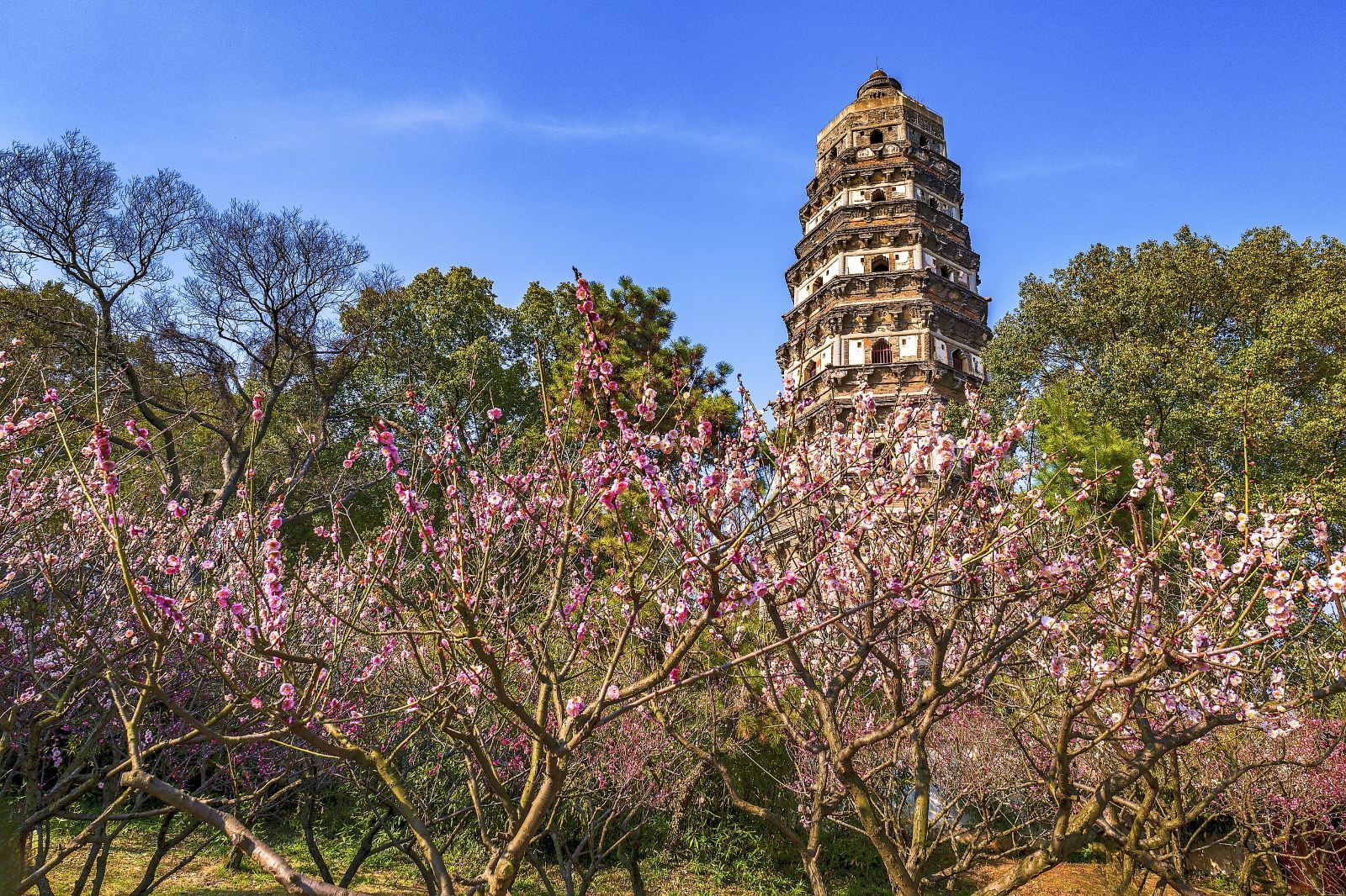 Suzhou + La collina della tigre + Tempio Hanshan / guida / cinese / inglese / russo / itinerario personalizzabile