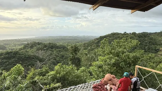 시키호르 섬 투어 [인터넷 셀럽 절벽 전망대 + 대형 반얀트리 + 인터넷 셀럽 스윙 + 인터넷 셀럽 커피]