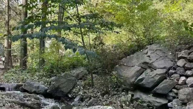 保定唐縣秀水峪一日遊