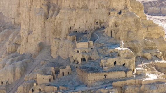 Tibetan history and humanities manual guide | guide/local guide/translator