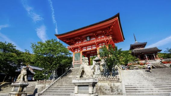 和歌山市日遊