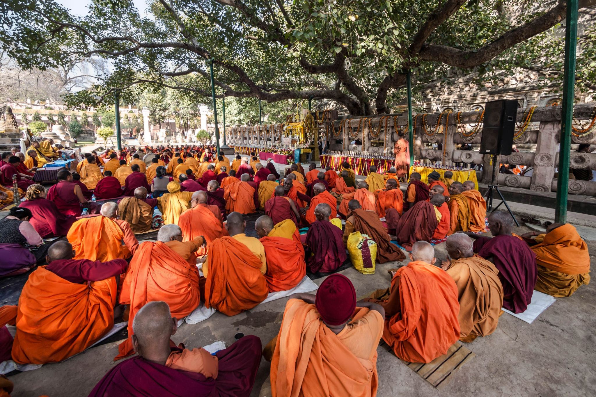 2-Day Varanasi & Bodhgaya Pilgrimage Tour with Sarnath & Boat Ride