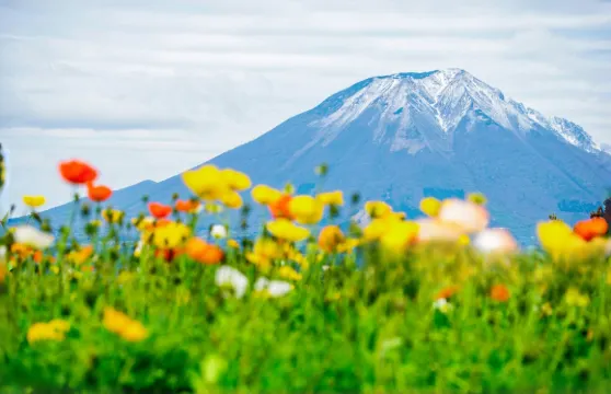 日本富士山五合目登臨體驗・漫步忍野八海・溫泉體驗療癒一日遊