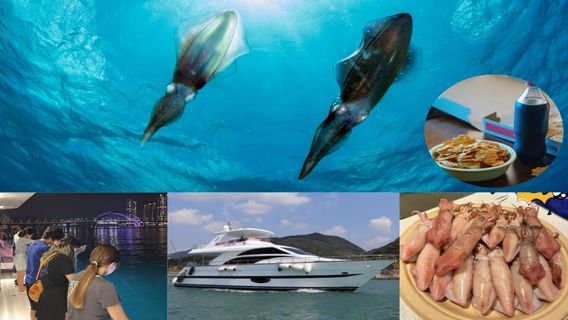 Hong KongExperiences