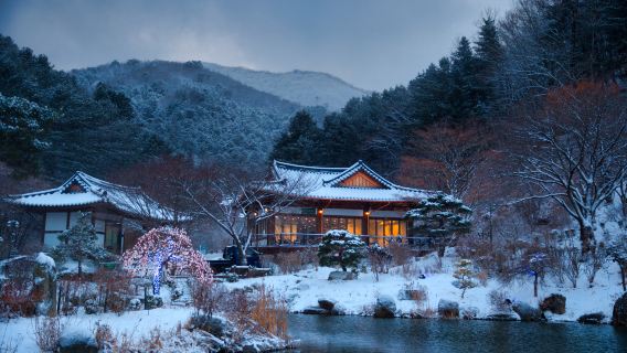 Winter-Tagesausflug in die Umgebung: Fischfliegendes Tal, Nami-Insel, Erdbeerpflücken und Morgenruhe-Baumgarten