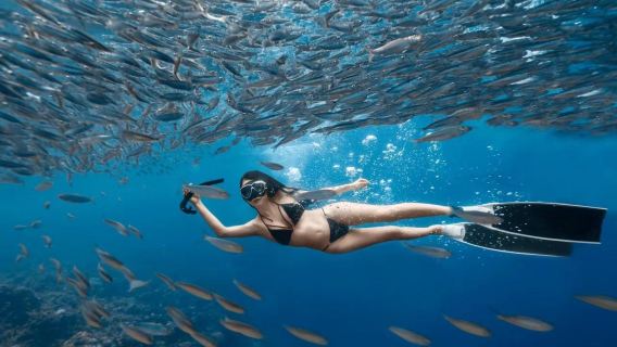 Bohol : Excursion d'une journée pour faire du snorkeling à Napaling, visiter les collines de chocolat, la rivière Loboc et voir les tarsiers