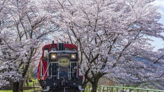 KyotoTransport