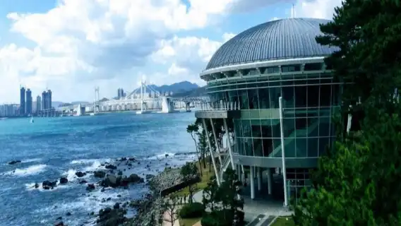 韓國東釜山探索之旅半日遊 中文英文導遊2431