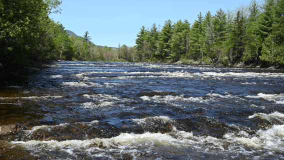 Maine: Penobscot Downriver Boat Rides