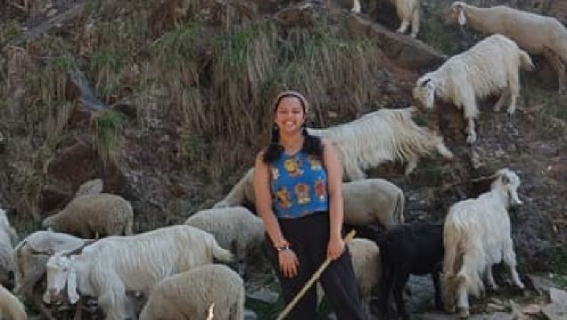 Triund 一日遠足|海拔2870米