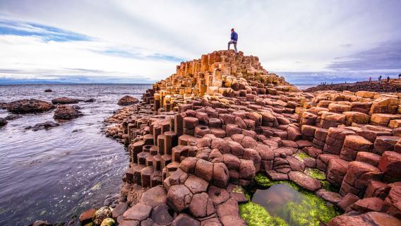 Dublin: Giant's Causeway, Dark Hedges & Titanic-Führung