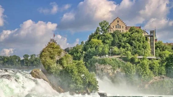 Cascate del Reno e viaggio panoramico svizzero in piccolo gruppo da Zurigo