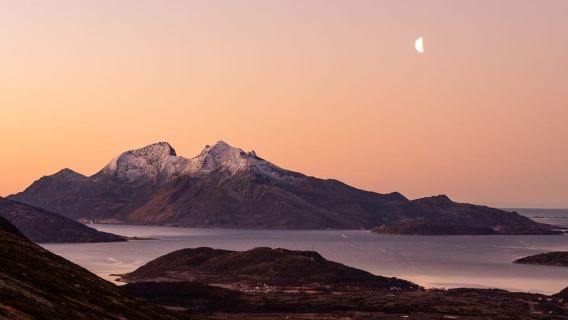 Tromsø: Arctic Fjords Tour to Kvaløya with Panoramic Lunch