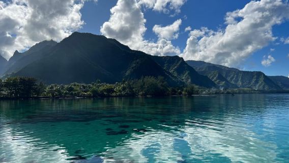 Tahiti: Wellenbeobachtungstour in Teahupoo