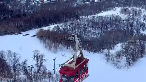 【北海道】小樽+海洋館+八音盒，中文包車酒店接送