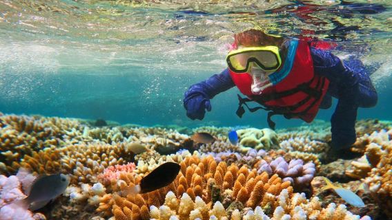 Costa Maya: Schnorchelabenteuer mit dem Boot und Fotos