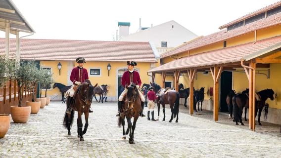 Lisbon: Portuguese School of Equestrian Art Morning Training