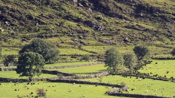 Killarney