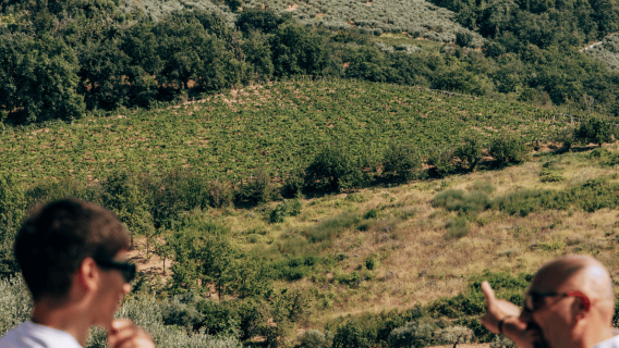 ทัวร์โรงผลิตไวน์พร้อมชิมไวน์และอาหารใน Chieti