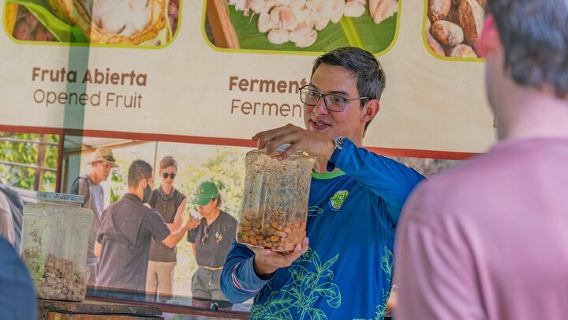 Craft Specialty Coffee and Chocolate Tour at North Fields