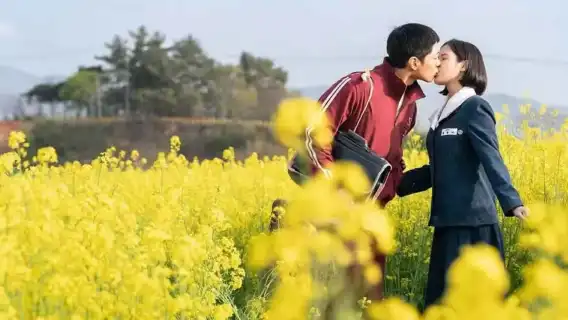牛島+城山+涉地可支+月汀里一日遊【濟州島東線|牛島經典線】