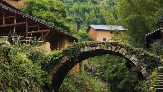 松陽一日遊【包車團丨麗水上門接送丨古街老村最後的江南祕境】