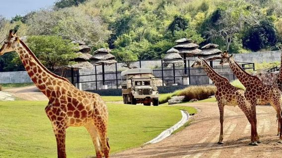 หัวหินซาฟารีแอนด์แอดเวนเจอร์แลนด์