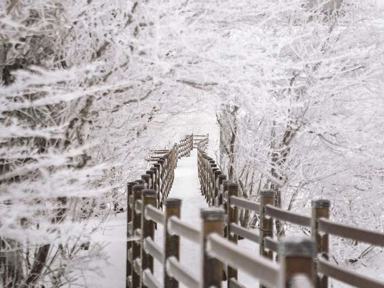 濟州島西南線一日遊丨門票全包丨漢拿山國立公園+追海豚【6-14人團】