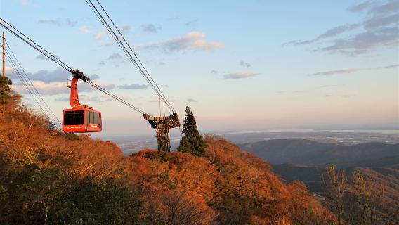 Tokyo: Day Trip to Mount Tsukuba to See Autumn Foliage and the World's Largest Buddha, Ushiku (November Only)