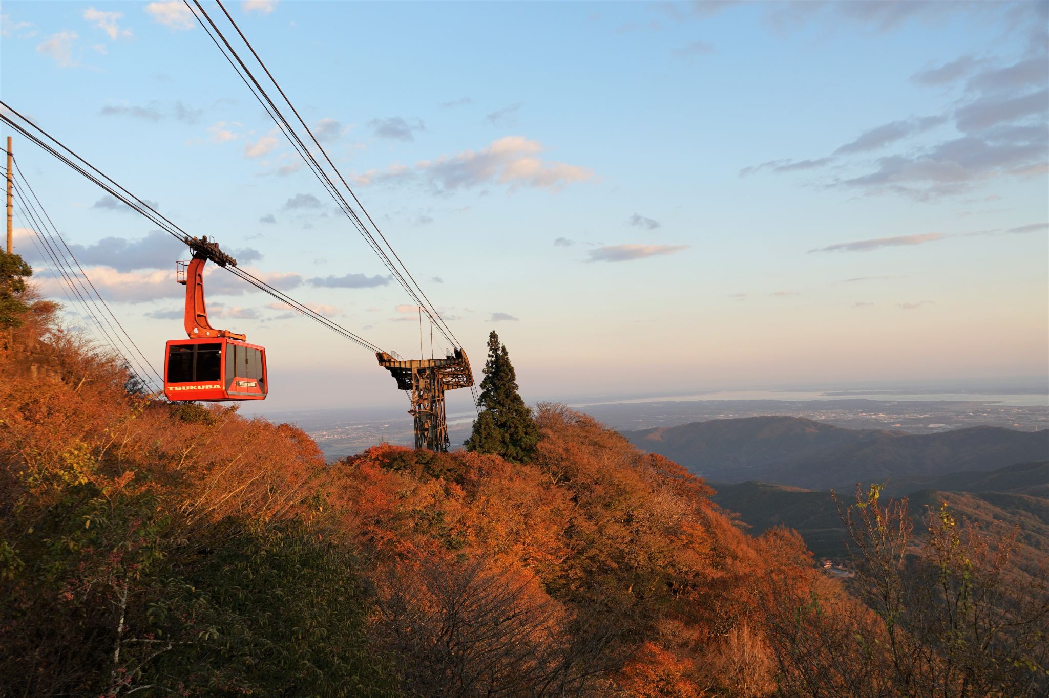 Tokyo: Day Trip to Mount Tsukuba to See Autumn Foliage and the World's Largest Buddha, Ushiku (November Only)