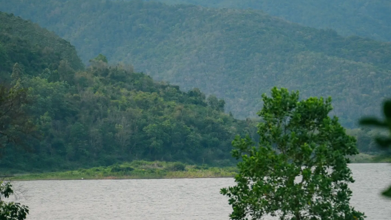 海南儋州來回霸王嶺國家森林公園+洪水村+昌化江畔包車1日遊