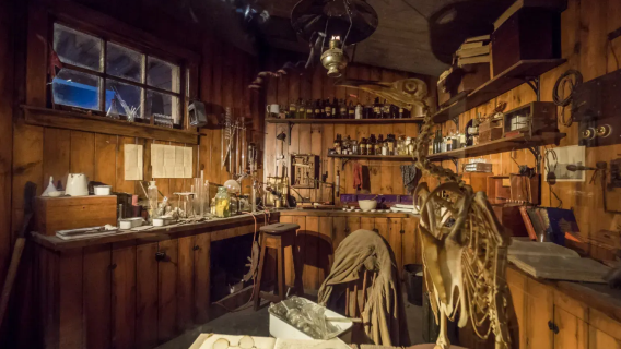 紐西蘭北島包車1日 中文服務+上門接駁 +行程可調