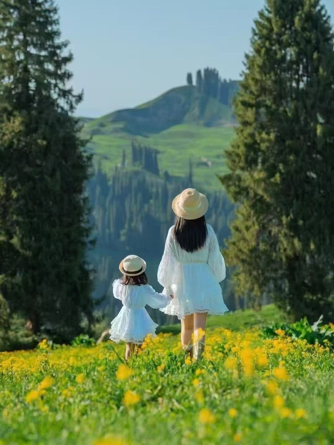 Natura, dolci e camere tematiche ~ Tour di un giorno per famiglie con bambini a Taoyuan