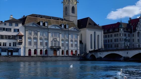 Nature and Culture Intertwined: Zurich + Rhine Falls + Stein am Rhein Premium Private Charter Day Tour