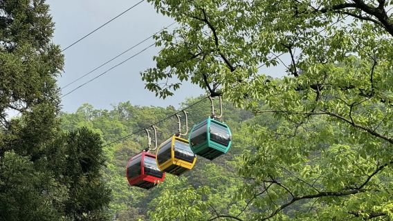 Lawatan Sehari ke Kawasan Pemandangan Gunung Lu Termasuk Jalan Guling, Vila Meilu, Hampang Kou, Gua Xianren dengan Tiket Masuk + Kereta Kabel (Tidak Termasuk Pendakian)