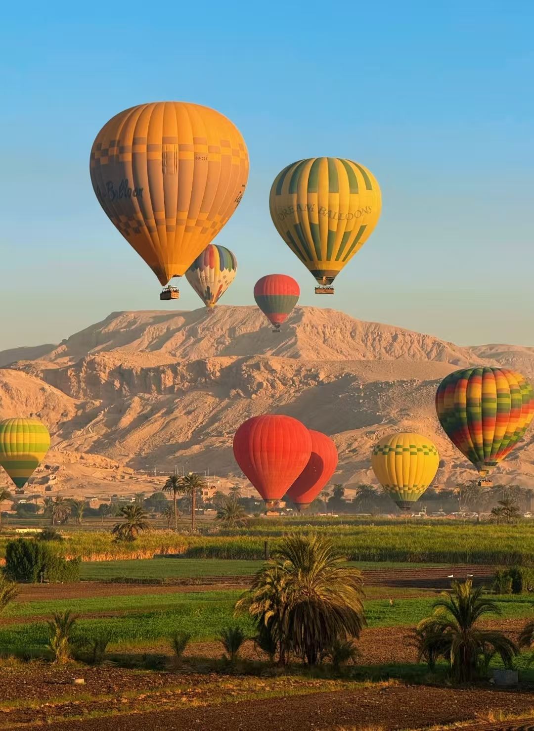 Esperienza in mongolfiera a Luxor con vista sull'alba, trasferimento dall'hotel e sorvolo della Valle dei Re