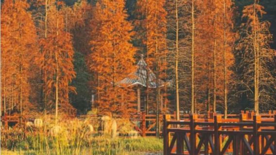 Tour 1 ngày thuê xe riêng Quảng Châu + Khu du lịch suối nước nóng Tòng Hóa + Rừng quốc gia Thạch Môn