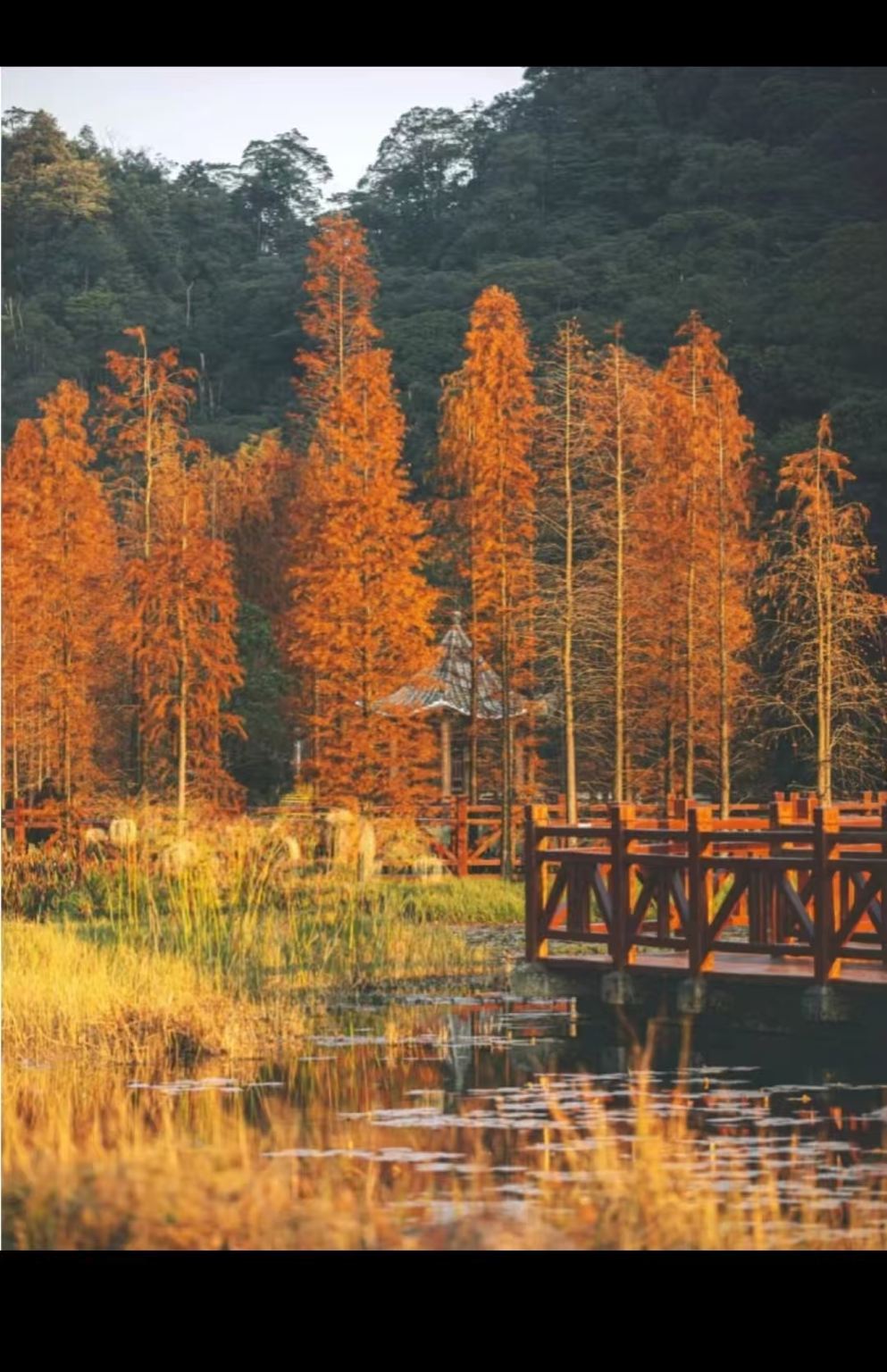 Tagesausflug mit Privattransfer nach Guangzhou, China + Conghua Hot Springs Resort + Shimen National Forest Park