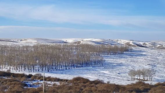 Huitengxile Grassland + Ulanhad Volcano [Day Tour · Tracing Footsteps in the Snow]