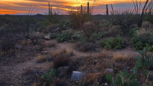 美國鳳凰城來回傑羅姆小鎮鬼城與蒙特蘇馬城堡線-包車-精選