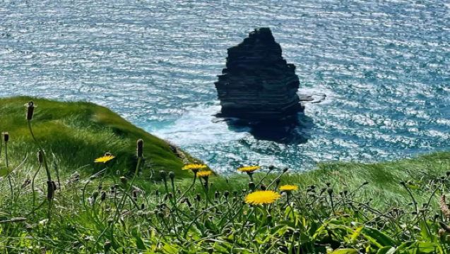 美國+聖地亞哥港+科羅拉多大橋一日遊/行程可調-可定制