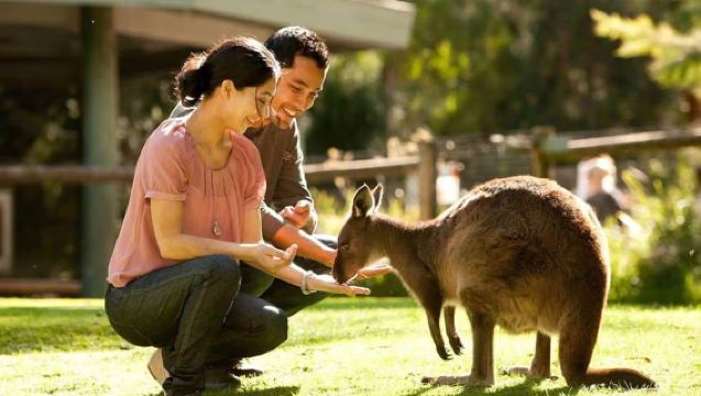 Lawatan Sehari ke Caversham Wildlife Park + Fremantle Pantai di Australia Barat