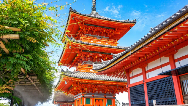 [Individuele deelname mogelijk · Dagelijks vertrek] Kiyomizu-dera in Kioto · Fushimi Inari-taisha · Todai-ji in Nara