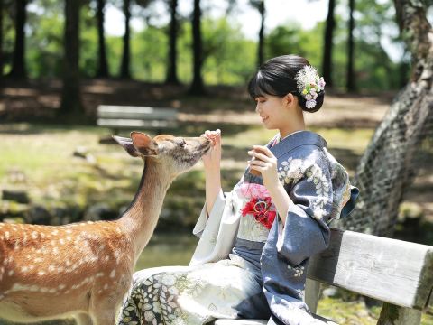 日本彩織奈良公園春日大社若草山東大寺唐招提寺小鹿和服租賃東京京都體驗預約預訂旅拍清水寺跟拍