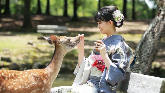 日本彩織奈良公園春日大社若草山東大寺唐招提寺小鹿和服租賃東京京都體驗預約預訂旅拍清水寺跟拍