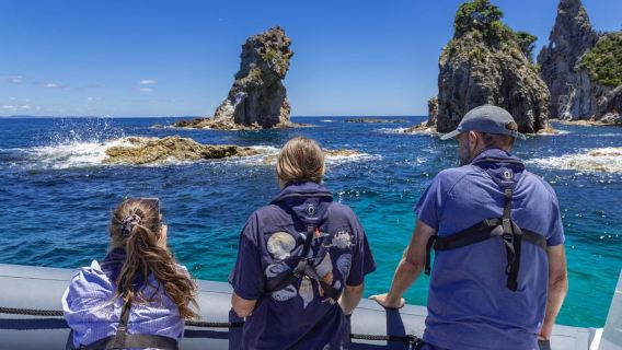 Coromandel: Crucero de vida silvestre en la Reserva Marina de las Islas Aldermen